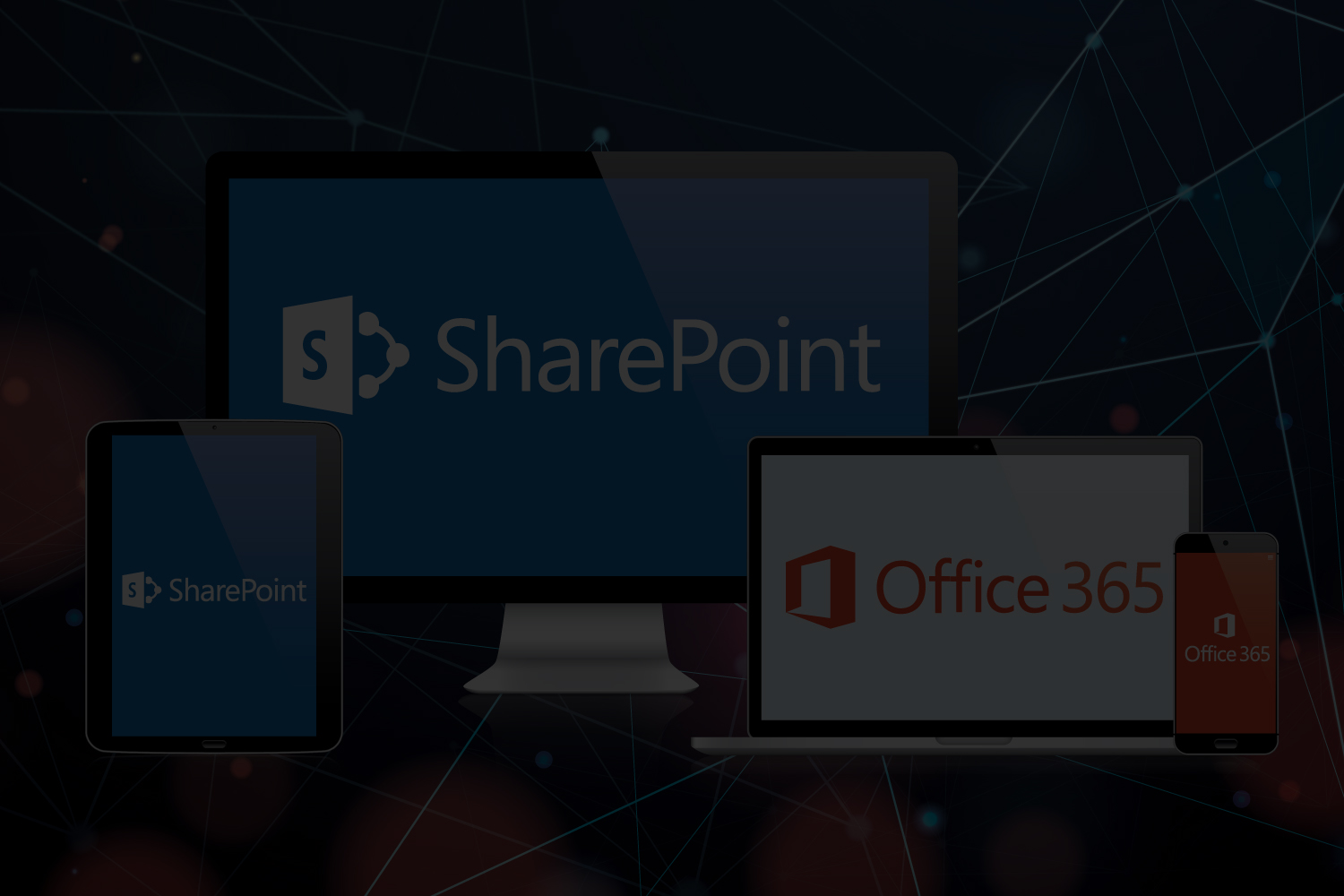Office 365 & Services